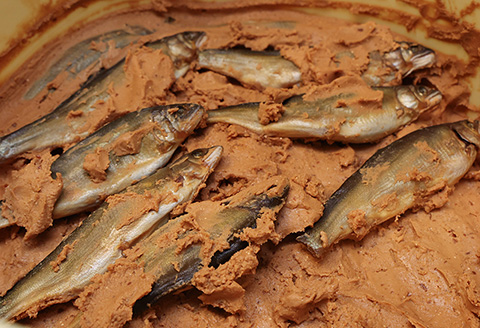 【下呂肴魚】子持ち鮎の粕味噌漬け（1匹×2袋　計2匹） 大人の贅沢 おつまみ 酒の肴 アユ あゆ 【料理茶屋浜木綿】【81-1】 子持ち鮎の粕味噌漬け（1匹×2袋　計2匹）