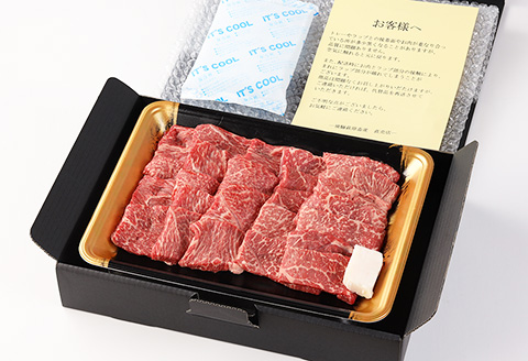 【冷凍】飛騨牛赤身焼肉セット 600g（もも焼肉 300g・かた焼肉 300g）最高級 国産 牛肉 ブランド牛 和牛  【22-27】