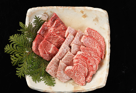 【冷凍】飛騨牛希少部位焼肉セット 計450g（トモサンカク 150g・ミスジ 150g・イチボ 150g）最高級 国産 牛肉 ブランド牛 和牛  【22-28】