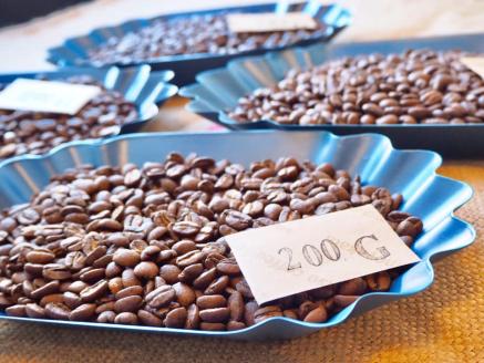 【毎月 定期便 全3回】毎月のおすすめスペシャルティコーヒー 200g×4種＋ブレンド 200g×1種（計1kg）×3回分 毎月発送 コーヒー豆 コーヒー 珈琲 自家焙煎珈琲店 下呂温泉【17-C】