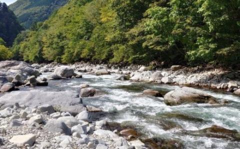 予約受付【令和8年】 (2026年2月から順次発送) 馬瀬川上流雑魚年釣証 1枚 渓流釣り 2026年 釣り券 釣り つり 魚 清流 馬瀬川【36-2】 馬瀬川上流雑魚年釣証