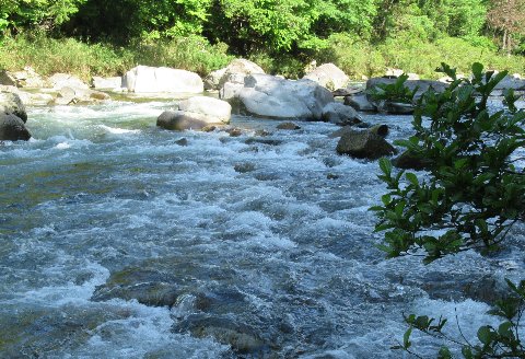 予約受付 (2026年1月から順次発送)【令和8年】馬瀬川下流 雑魚年釣券（２月21日(土)解禁） 渓流釣り アマゴ イワナ あまご いわな 2026年【26-5】 「馬瀬川下流」雑魚年釣券