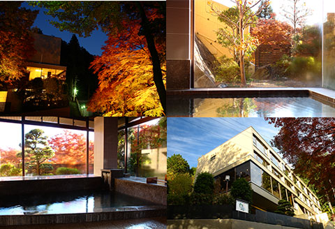 下呂温泉 【ゆらぎの里 ひだ山荘】宿泊補助券(12,000円分）宿泊券 温泉 旅行 旅館 【a015-4】 【ゆらぎの里 ひだ山荘】宿泊補助券(12,000円分）