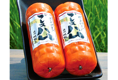 【飛騨 味職人】ボーノポークプレスハム（約390g×2本）豚肉 ブランド豚 贈答 ギフト 【57-12】