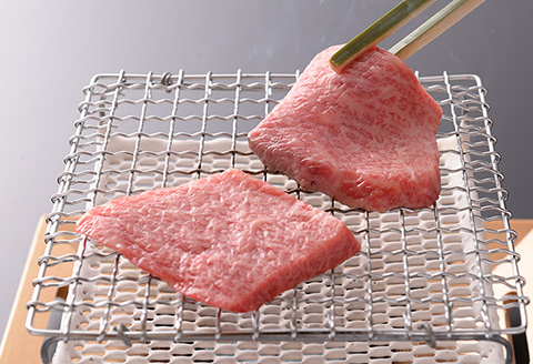 【最高級】飛騨牛A5ランク 霜降り焼肉 900ｇ【39-11】