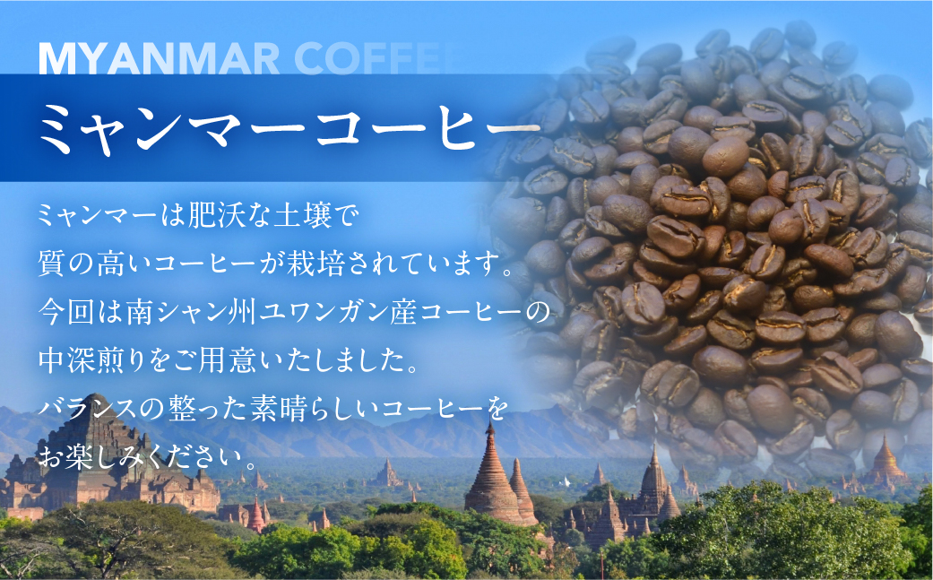 スペシャルティコーヒー豆 100g×3 種飲み比べセット【TAIYO COFFEE ROASTERS】【102-1】