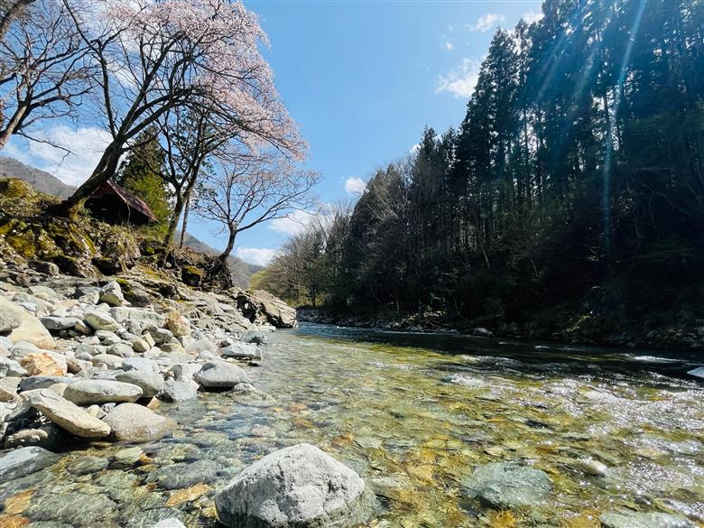 川魚 甘露煮味比べセット（3尾入り 2種類 各2袋）計12尾　あまご いわな 食べ比べ 魚 甘露煮 おかず 下呂 小坂 【鈴小坂】【108-3】