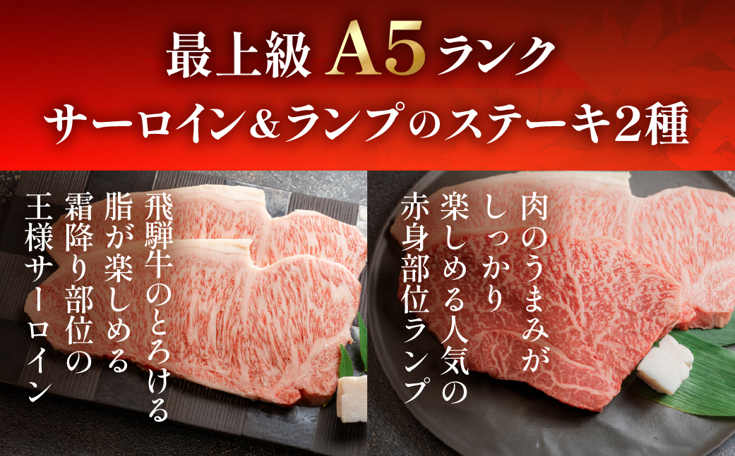 A5飛騨牛サーロイン・ランプステーキ  約380g(約190g×各1枚) サーロイン らんぷ【冷凍】飛騨牛 牛肉 赤身 ブランド牛 肉ギフト ランプ ステーキ【11-1025】
