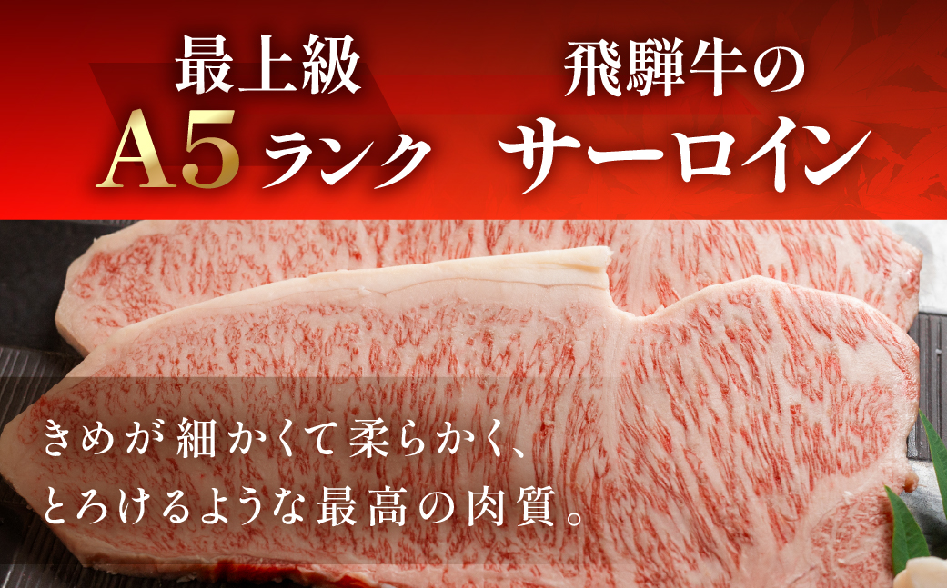 【冷凍】飛騨牛ヒレ・サーロインステーキセット 【ヒレ 約400g(3枚) / サーロイン 約380g(2枚)】【11-45】