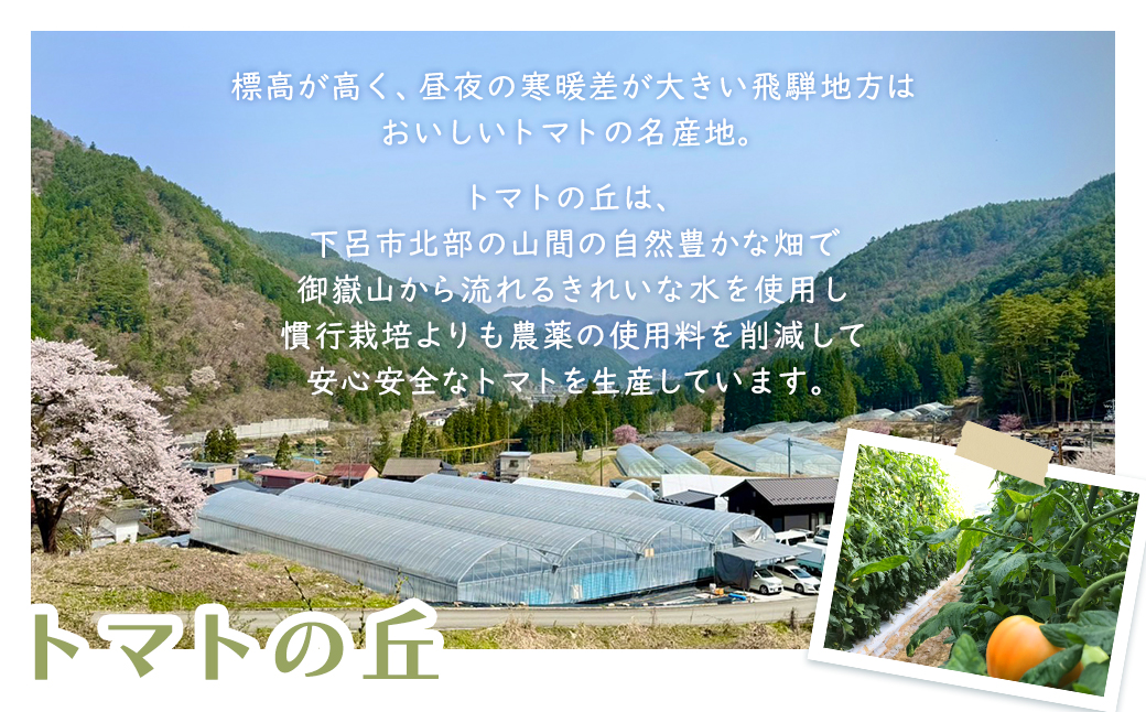 （受付終了）【定期便 3回】 飛騨産 100％ 無添加トマトジュース（1L×4本入り）×3ヶ月 定期 毎月 ギフト 贈り物 プレゼント 贈答 とまと 飲料 野菜飲料 トマト トマトジュース 野菜ジュース 無添加 無塩【113-A】 トマトジュース（1L×4本入り）×3ヶ月【3回定期】