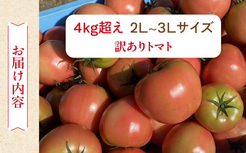  先行予約  訳あり（2026年7月上旬頃から順次発送）大黒屋農園 甘塾トマト 麗月 2Ｌ～3Ｌ 大サイズ 4kg以上 レイゲツ とまと 下呂市 期間限定【大黒屋農園】【119-5】  訳ありトマト 2Ｌ～3Ｌ 大サイズ 4kg