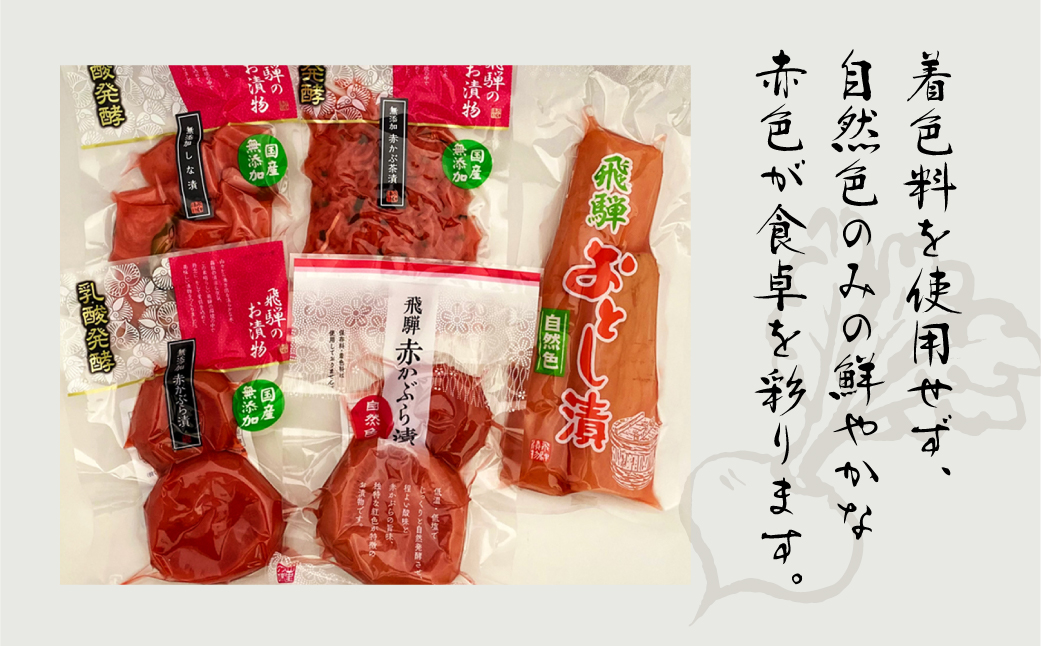 飛騨のお漬物 5種類セット 漬け物 飛騨 詰め合わせ【15-2】