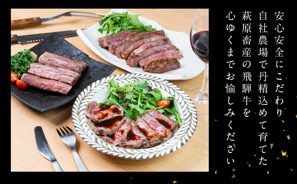 飛騨牛トモサンカクブロック 500g 国産 牛肉 ブランド牛 牛 ともさんかく お肉 おにく 塊肉 おすすめ 【冷凍配送】【22-41】 飛騨牛トモサンカクブロック　500g