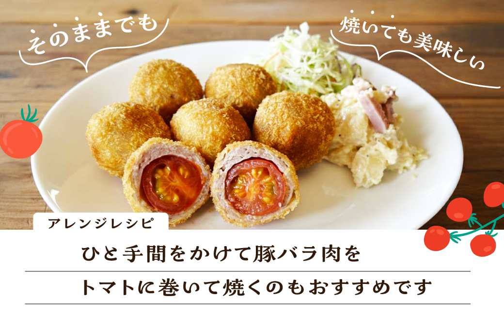 先行予約（2026年8月上旬頃から順次発送）ミニトマト（キャロルポポ） 1kg ミニトマト 夏季限定 期間限定 限定 1キロ 飛騨 下呂  とまと トマト 新鮮 国産 野菜【27-9】