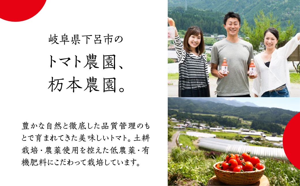 産地直送！杤本農園　ゴリラトマトジュース（180ml  6本×4箱）24本入り フルーツトマトジュース【45-5】 ゴリラトマトジュース（180ml 6本×4箱）24本入り