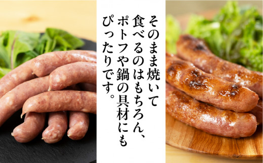 【定期便 3回】飛騨味職人「ボーノポーク満喫定期便」定期 毎月 3カ月 贈答 ギフト ウインナー ハム ベーコン おさだ食品 下呂市 下呂【57-E】