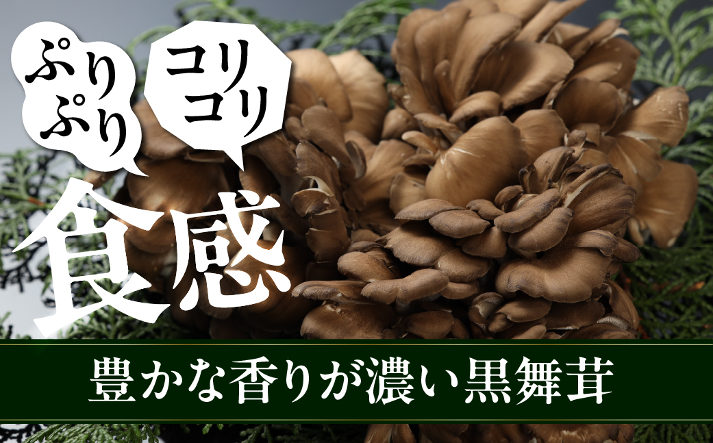 飛騨舞茸と佃煮のセット(飛騨舞茸 600g ・舞茸の佃煮 600g（100g×6袋））マイタケ まいたけ【60-1】 舞茸 600g＆佃煮