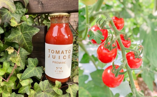 【自家用】≪有機JAS認証≫プレミアム トマトジュース（180ml×30本）とまと 飲料 トマト トマトジュース 無添加 無塩 野菜飲料 野菜ジュース 中玉トマト フルティカ 使用【谷下農園】【61-22】