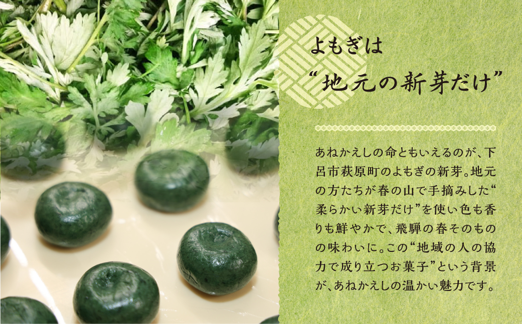 【冷凍配送】あねかえし 20個入り（5個入×4パック）和菓子 生菓子 よもぎ ヨモギ のうさん糀村【87-2】