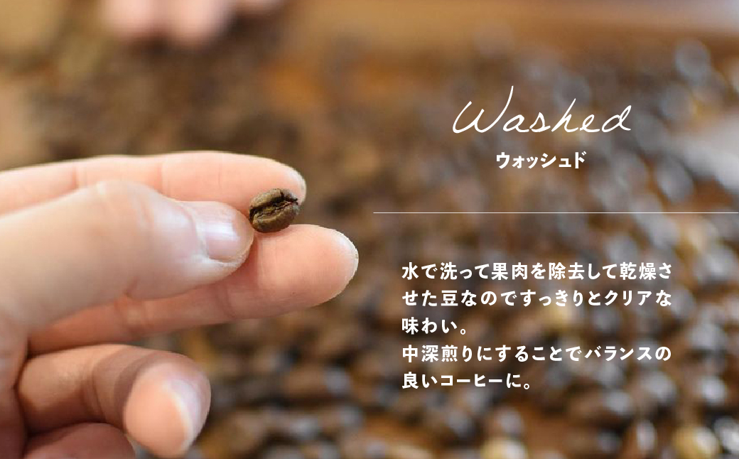  【自家用】「Kaung day」 ミャンマースペシャルティコーヒー ドリップパック　30パック 珈琲 コーヒー カウンデー ミャンマー ドリップ ドリップバック 訳あり ドリップバッグ【98-3】 ドリップパック 30パック