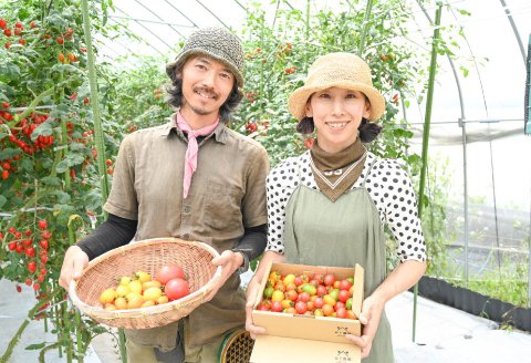 ≪有機JAS認証≫【飛騨産】麗月トマトジュースセット　3種飲み比べ（180ml×各1本）【61-4】