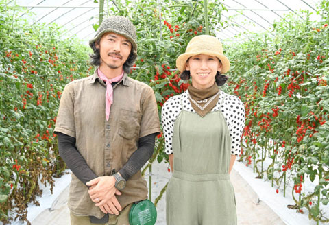 ≪有機JAS認証≫【谷下農園】プレミアム トマトジュース（180ml×3本）とまと 飲料 トマト トマトジュース 無添加 無塩 野菜飲料 野菜ジュース 中玉トマト フルティカ 使用【61-13】