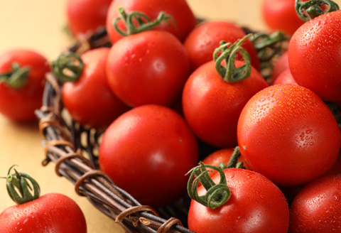 産地直送！杤本農園　ゴリラトマトジュース（180ml×6本入り）フルーツトマトジュース 野菜飲料 とまと トマト ジュース ギフト【45-4】 ゴリラトマトジュース（180ml×6本入り）