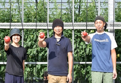 先行予約 ≪期間限定≫（2026年7月中旬頃から順次発送）産地直送！飛騨トマト 麗月大玉20玉（4kg） 下呂市 とまと トマト 新鮮【27-1】