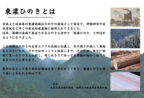 ひのきチップのサシェ6個とひのきオイル30mlセット【アロマ エッセンシャルオイル 精油 リラックス 】【飛騨フォレスト】【43-24】