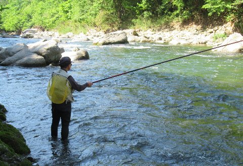 予約受付 (2026年1月から順次発送)【令和8年】馬瀬川下流 雑魚年釣券（２月21日(土)解禁） 渓流釣り アマゴ イワナ あまご いわな 2026年【26-5】 「馬瀬川下流」雑魚年釣券
