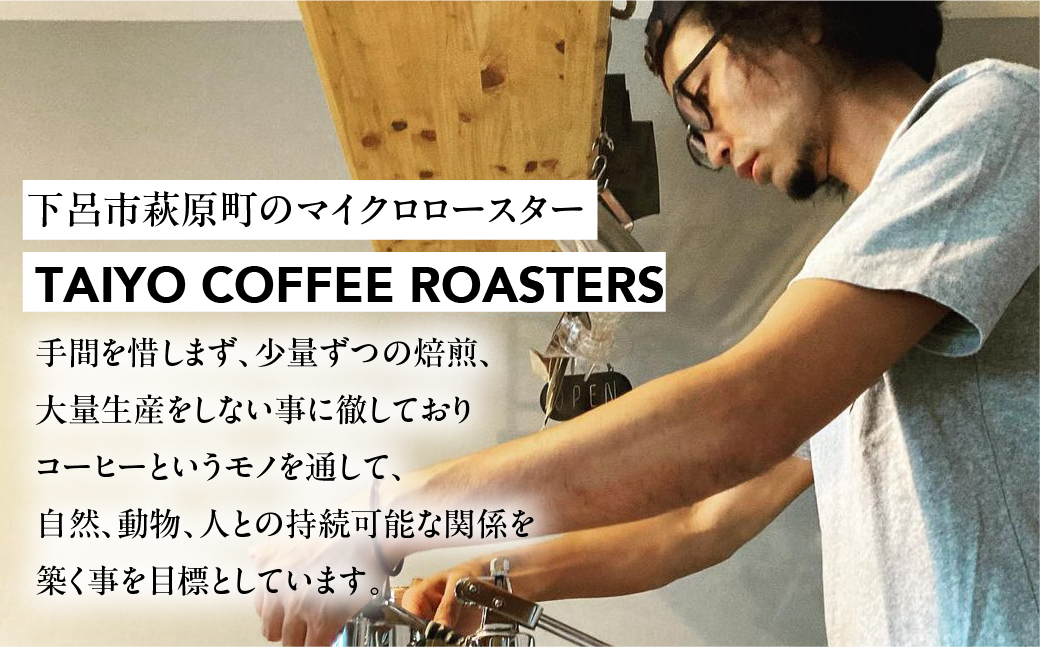 スペシャルティコーヒー豆 100g×3 種飲み比べセット【TAIYO COFFEE ROASTERS】【102-1】