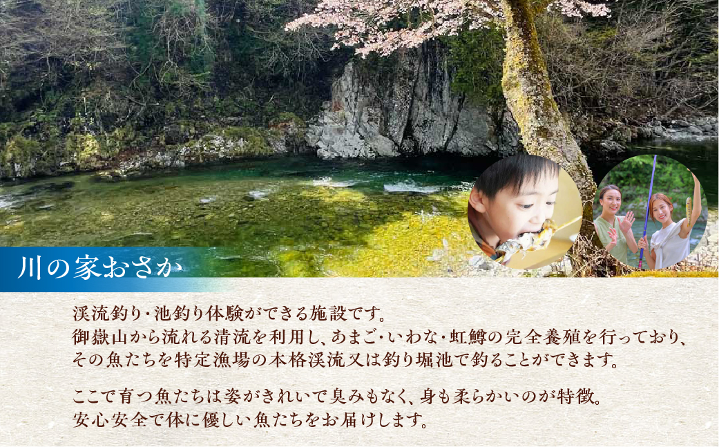 川魚 甘露煮味比べセット（3尾入り 2種類 各2袋）計12尾　あまご いわな 食べ比べ 魚 甘露煮 おかず 下呂 小坂 【鈴小坂】【108-3】