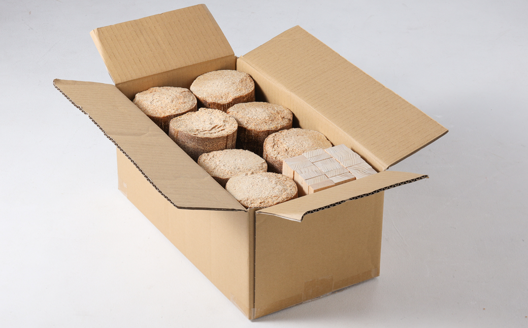 バイオフレア（14個+焚きつけ材 約10kg）×1箱 キャンプ 焚火 アウトドア バイオコークス 固形燃料 たき火 サウナ 焚き付け材 焚き付け BBQ 暖炉 バーベキュー【AEJ株式会社】【109-1】