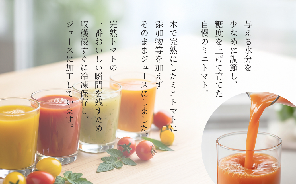 飛騨産 100％ 無添加 ミニトマトジュース180㎖  4本セット(1) 4種類 (プチぷよ、イエローアイコ、サングリーン、トスカーナバイオレット)（各1本）ギフト 贈り物 プチトマト ミニトマト プレゼント 贈答 とまと 飲料 野菜飲料 トマト トマトジュース 野菜ジュース  無添加 無塩 トマトの丘【113-4】 4種類  (プチぷよ、イエローアイコ、サングリーン、トスカーナバイオレット)