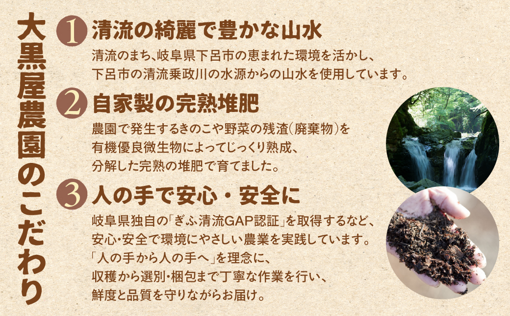  菌床生椎茸  詰め合せセット（4パック＋3袋）7品 　計1.3kg  生椎茸 しいたけ シイタケ 生しいたけ 下呂温泉 【大黒屋農園】【119-1】 椎茸 計1.3kg