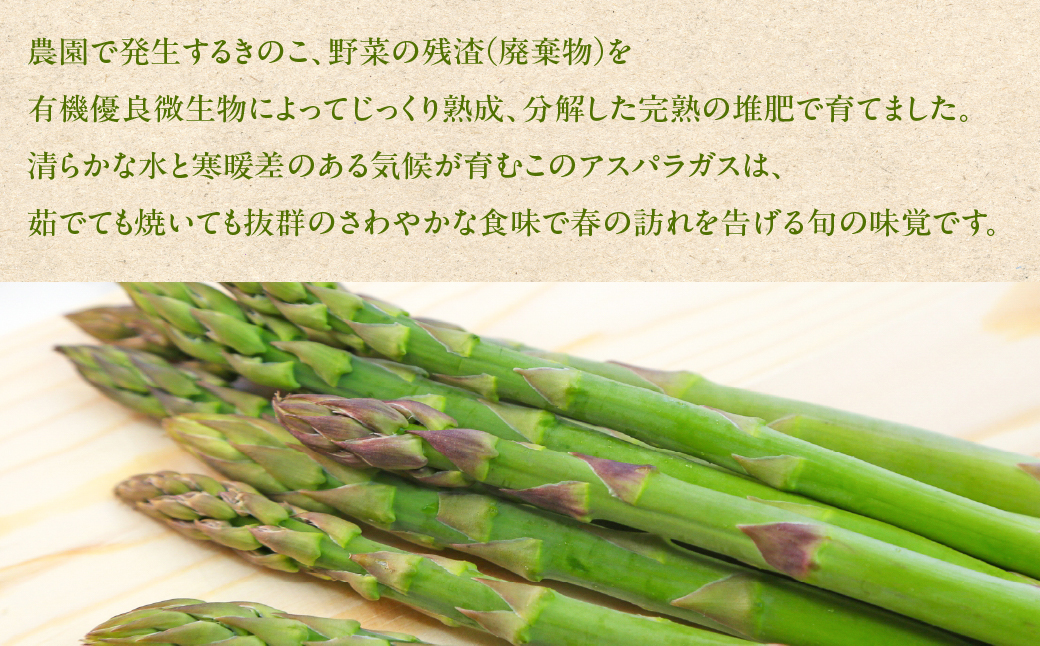 先行予約（2026年5月から順次発送）高級アスパラガス 隆至の龍 1kg（約50本入り）レギュラーサイズ アスパラ 下呂市  限定 こだわり ブランド 期間限定【大黒屋農園】【119-2】 アスパラ 1kg（約50本入り）