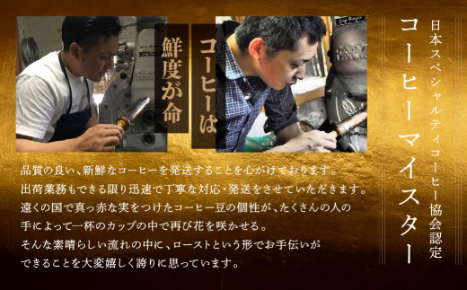 緑の館 / ハワイ・コナ ドリップ 20杯分（5杯入り×4） コーヒー コーヒー豆 珈琲【17-98】