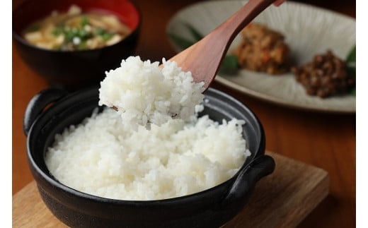 （受付終了）新米予約受付【2025年産米】(2025年9月中旬頃から順次発送)水源米 馬瀬ひかり  (2kg×1袋)  まぜひかり コシヒカリ 令和7年 馬瀬 特産米 地域限定 精米 米 こしひかり おすすめ【18-6】 水源米 馬瀬ひかり (2kg×1袋)