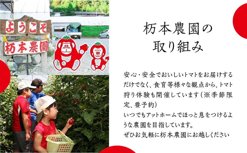 【定期便 3回】産地直送！杤本農園  フルーツトマトジュース（720ml×12本入り）×3カ月 華小町 フルーツトマト とまと 野菜飲料 贈答 ギフト 定期 3ヶ月 ジュース トマトジュース トマト フルーツトマト【45-B】 （定期）フルーツトマトジュース（720ml×12本入り）×3カ月