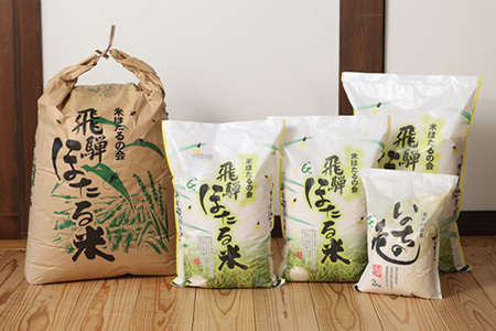 【令和7年産米】【定期便】こしひかり 5kg×6回 すがたらいす 下呂市金山産 2025年産 毎月 お米 米 精米 コシヒカリ 下呂温泉 下呂市 毎月 定期【51-C】 令和7年産米【定期便】こしひかり 5kg×6回