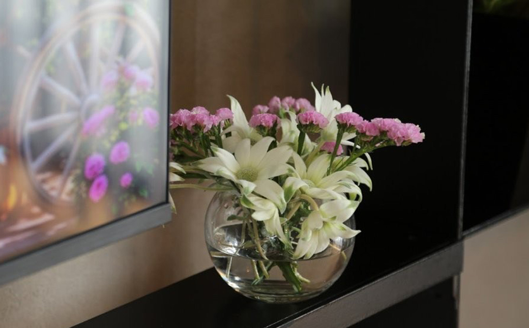 先行予約【2026年4月配送】フランネルフラワー（切り花）花束 1束（60輪）約30本 プレゼント 下呂市 岐阜県 生花 馬瀬 ネイティブフラワー【114-1【4】】 【2026年4月配送】