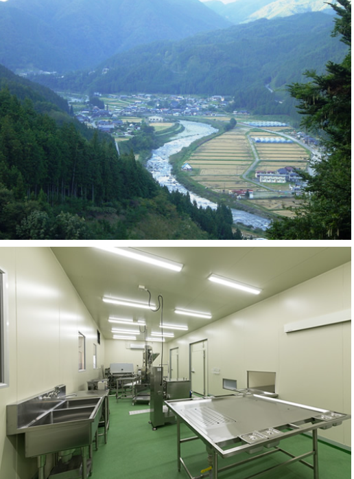 ケーちゃん10個入り(みそ味・しょうゆ味　各5個)けいちゃん 鶏ちゃん ケイちゃん 鶏肉 味付け 味付き 焼くだけ 簡単調理 下呂市 けーちゃん ケーちゃん【8-1】