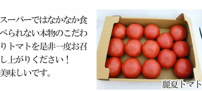  先行予約  訳あり（2026年7月上旬頃から順次発送）大黒屋農園 甘塾トマト 麗月 2Ｌ～3Ｌ 大サイズ 4kg以上 レイゲツ とまと 下呂市 期間限定【大黒屋農園】【119-5】  訳ありトマト 2Ｌ～3Ｌ 大サイズ 4kg