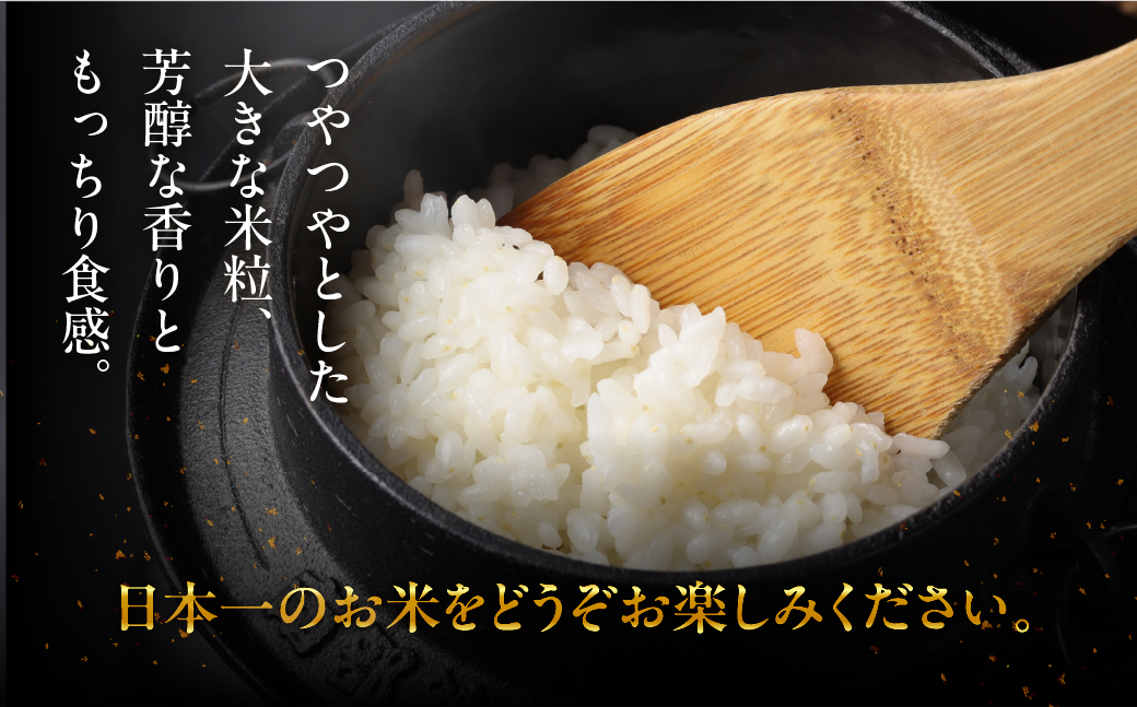 【2025年産米】（2026年1月発送）5kg×1 飛騨産・龍の瞳（いのちの壱）株式会社龍の瞳直送 米 令和7年産 精米【14-14【1】】 【2025年産米】（2026年1月発送）5kg×1
