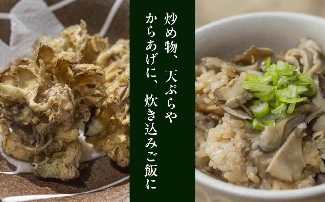 飛騨舞茸と佃煮のセット(飛騨舞茸 600g ・舞茸の佃煮 600g（100g×6袋））マイタケ まいたけ【60-1】 舞茸 600g＆佃煮