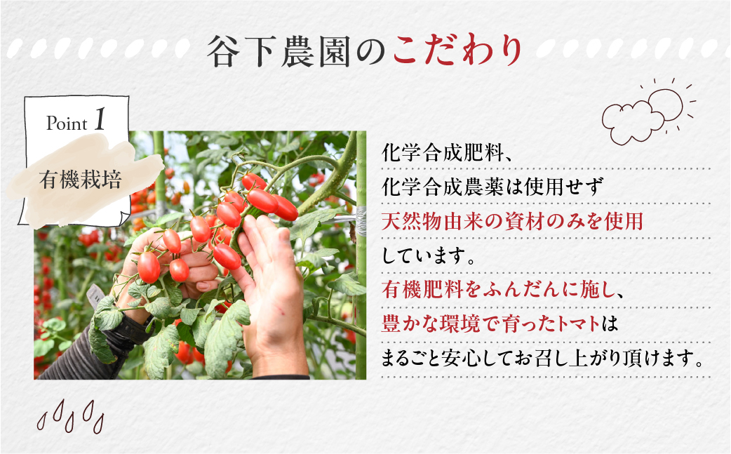 ≪有機JAS認証≫【谷下農園】プレミアム トマトジュース（180ml×3本）とまと 飲料 トマト トマトジュース 無添加 無塩 野菜飲料 野菜ジュース 中玉トマト フルティカ 使用【61-13】