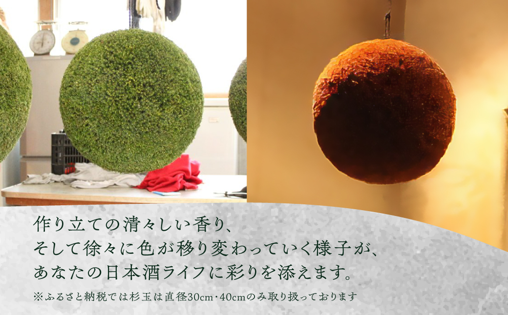 日本酒ライフに彩りを！杉玉直径40㎝。自宅やお店のインテリアに【67-2】