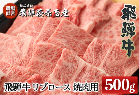 【冷凍】飛騨牛リブロース 500g（焼肉用）牛肉 国産 ブランド牛 【22-20【1】】
