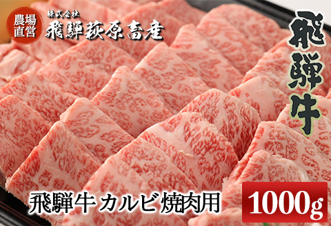 【冷凍】たっぷり大容量！飛騨牛カルビ焼肉用（1kg）最高級 国産 牛肉 ブランド牛 和牛 【22-26】