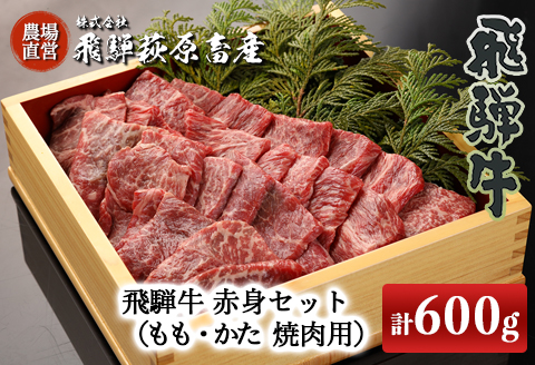 【冷凍】飛騨牛赤身焼肉セット 600g（もも焼肉 300g・かた焼肉 300g）最高級 国産 牛肉 ブランド牛 和牛  【22-27】